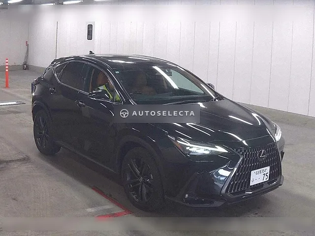 Lexus NX 2022, auction grade 4.5