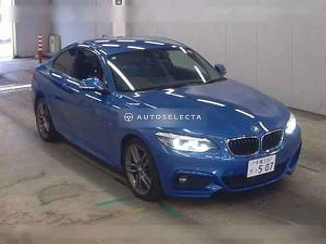 BMW 2 Series 2019, auction grade 4