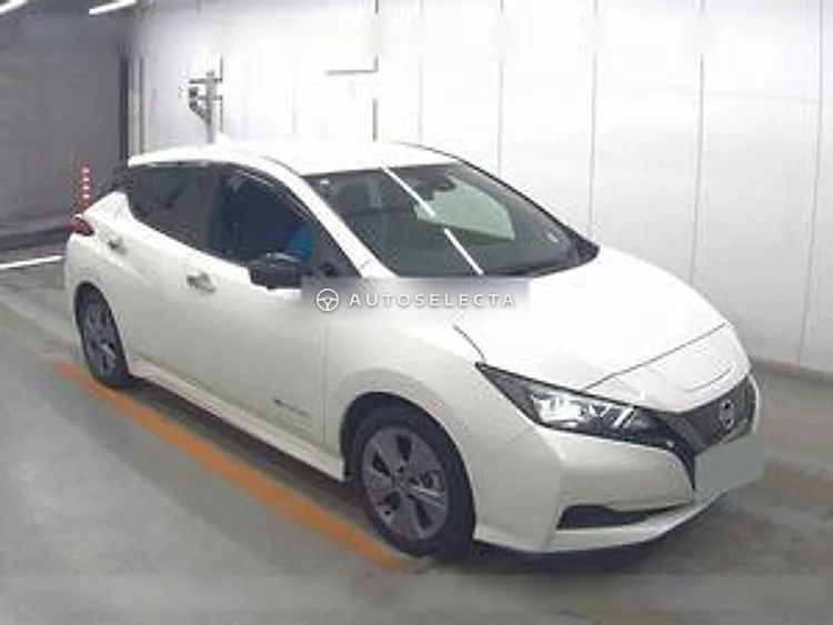 Nissan Leaf 2021, photo 1 of 1