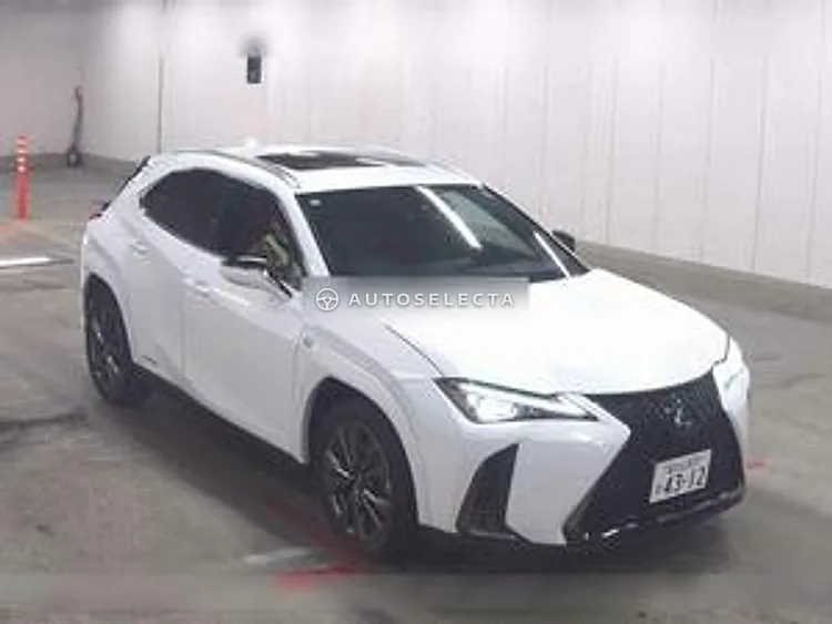 Lexus UX 2020, photo 1 of 1