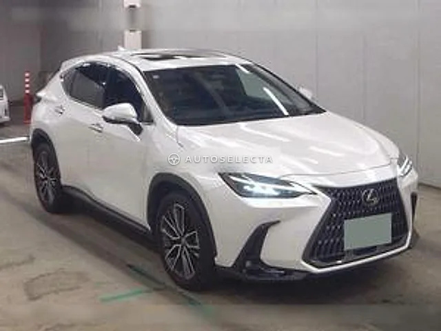 Lexus NX 2023, auction grade 4.5