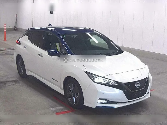 Nissan Leaf 2022, auction grade 4.5