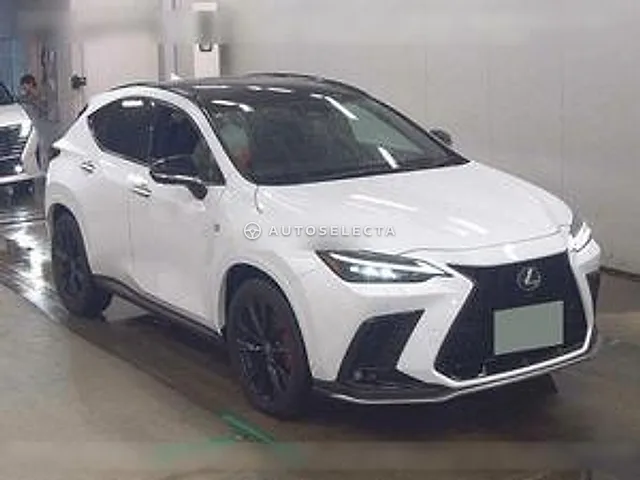 Lexus NX 2026, auction grade S