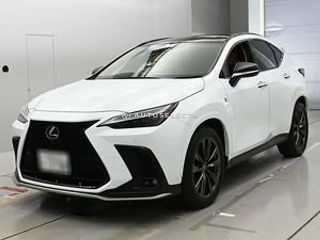 Lexus NX 2025, auction grade 5