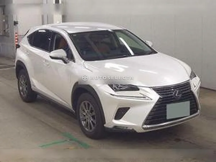 Lexus NX 2019, photo 1 of 1