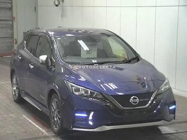 Nissan Leaf 2019, auction grade 4