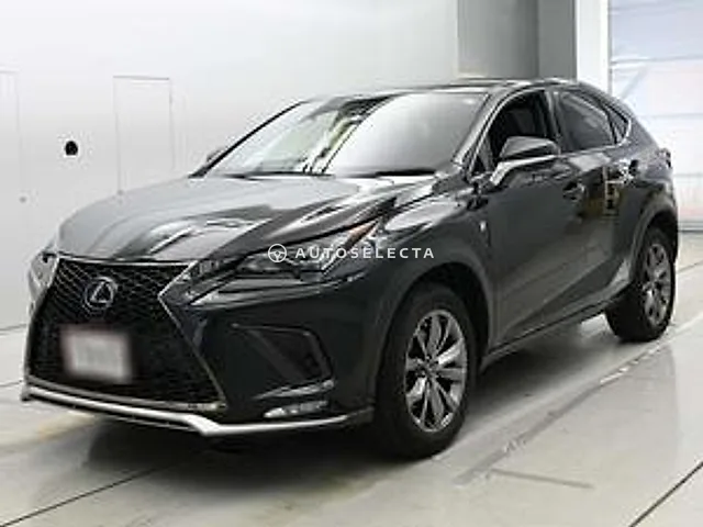 Lexus NX 2020, auction grade R