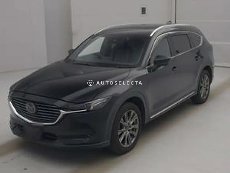 Mazda CX-8 2019, photo 1 of 1