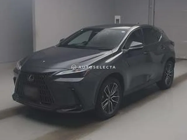 Lexus NX 2024, auction grade R