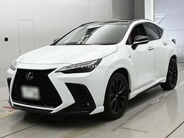Lexus NX 2024, auction grade 6