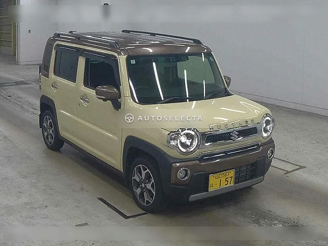 Suzuki Hustler 2024, auction grade 5