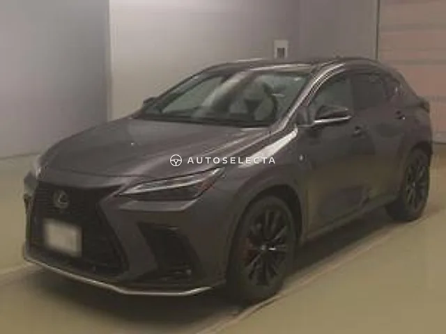 Lexus NX 2023, auction grade 4.5