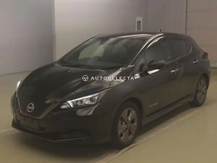 Nissan Leaf 2021, photo 1 of 1