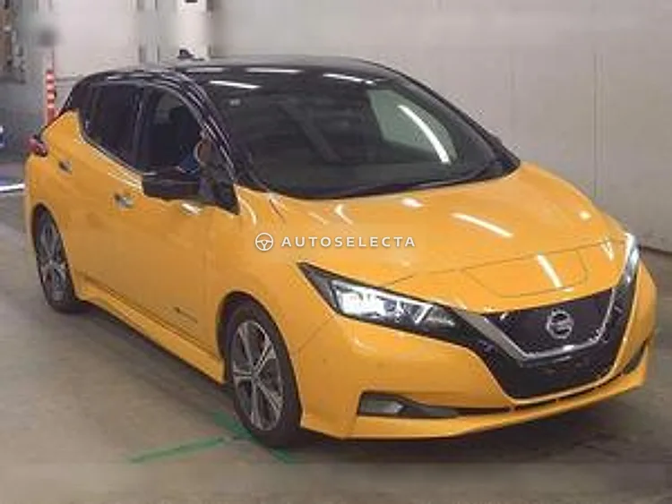 Nissan Leaf 2020, photo 1 of 1