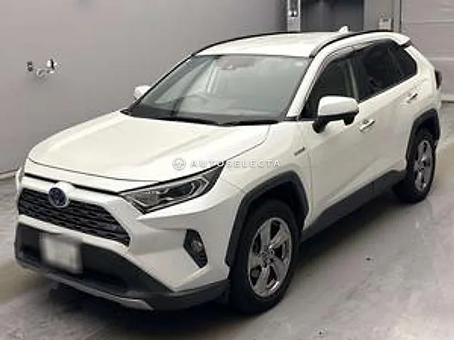 Toyota RAV4 2019, auction grade 4.5
