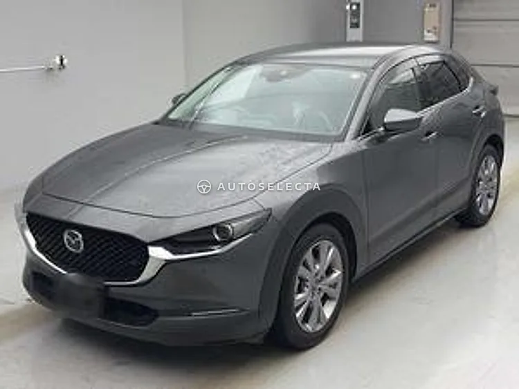 Mazda CX-30 2019, photo 1 of 1