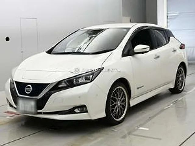 Nissan Leaf 2018, auction grade 4