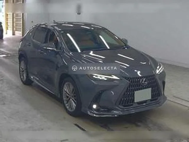 Lexus NX 2022, auction grade 4.5