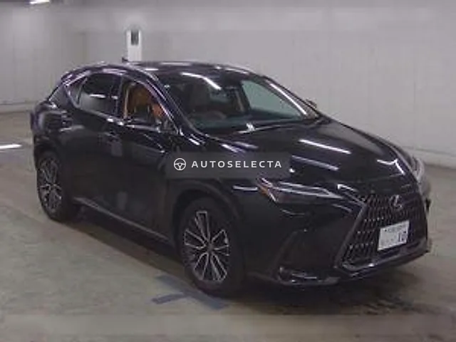 Lexus NX 2024, auction grade 4.5