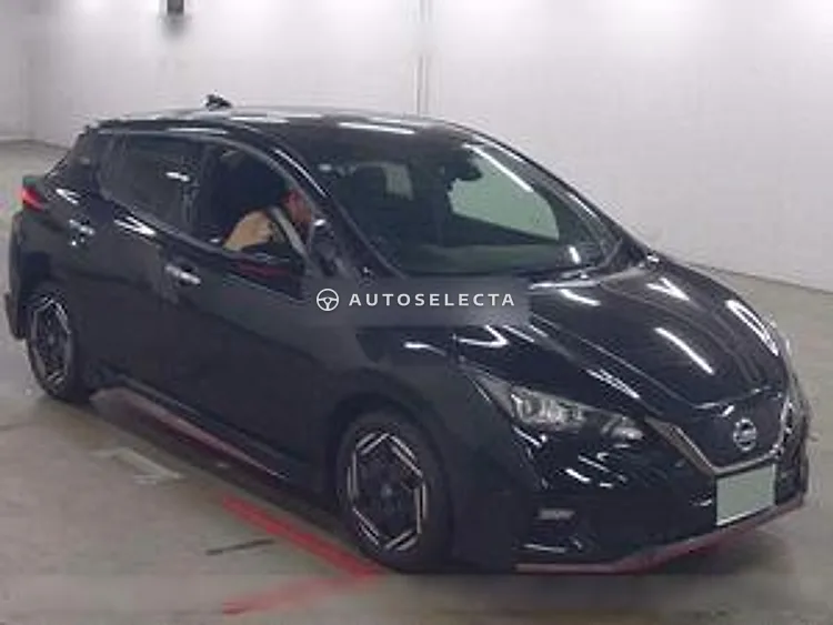 Nissan Leaf Nismo 2019, photo 1 of 1