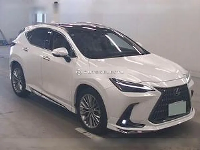 Lexus NX 2023, auction grade 5