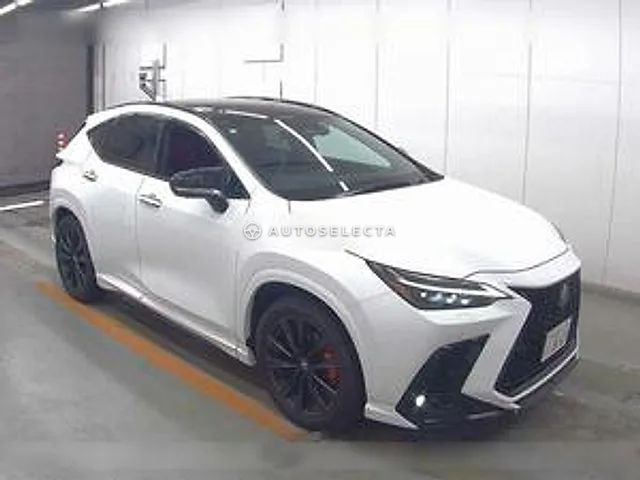 Lexus NX 2023, auction grade 4.5