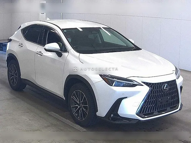 Lexus NX 2023, auction grade 4