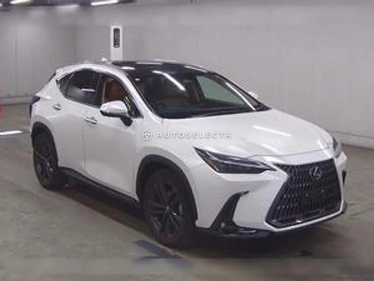 Lexus NX 2023, photo 1 of 1