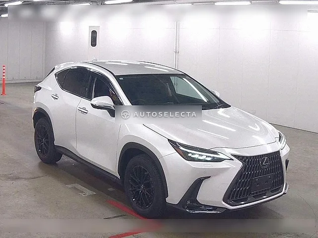 Lexus NX 2023, auction grade 4.5