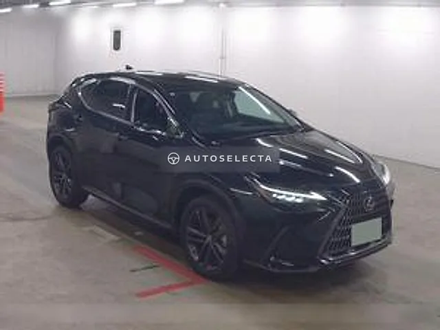 Lexus NX 2024, auction grade 4.5