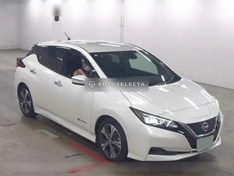 Nissan Leaf 2019, photo 1 of 1
