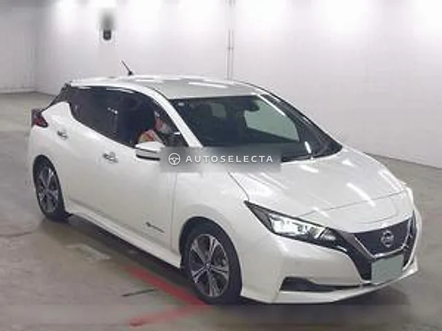 Nissan Leaf 2019, auction grade 4.5