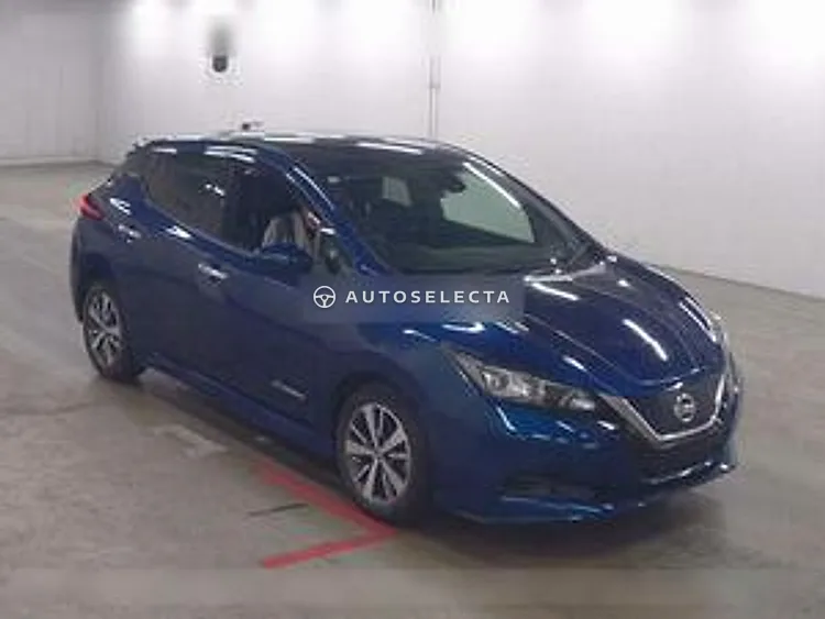 Nissan Leaf 2019, photo 1 of 1