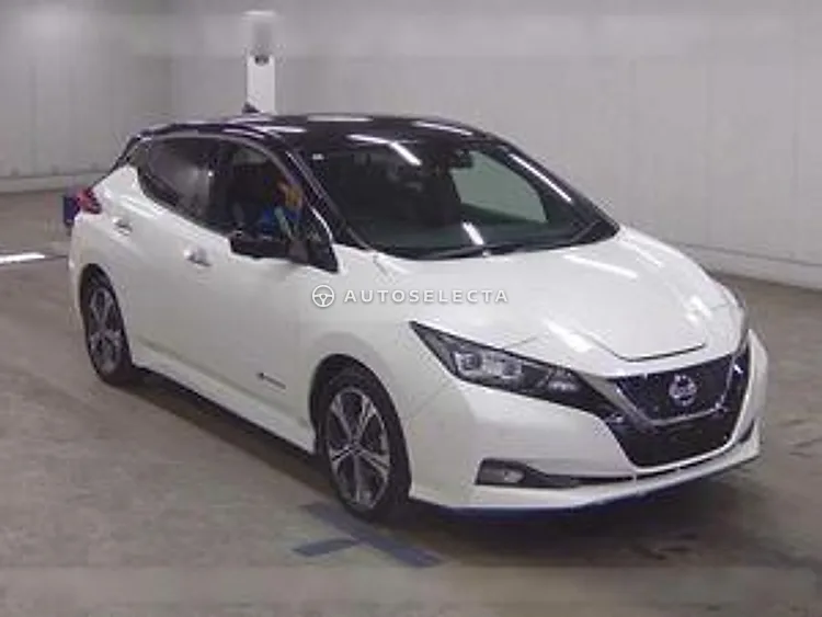 Nissan Leaf 2020, photo 1 of 6