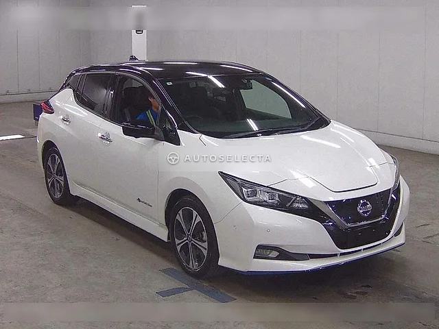 Nissan Leaf 2020, auction grade 4