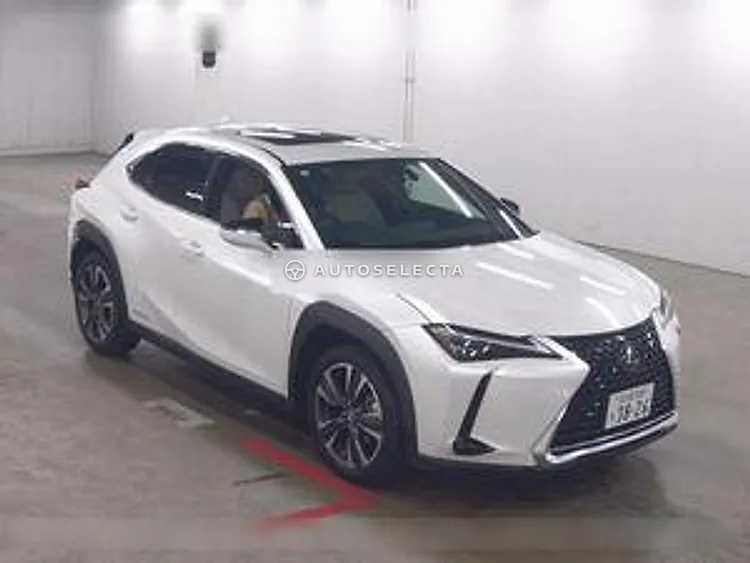 Lexus UX 2020, photo 1 of 6