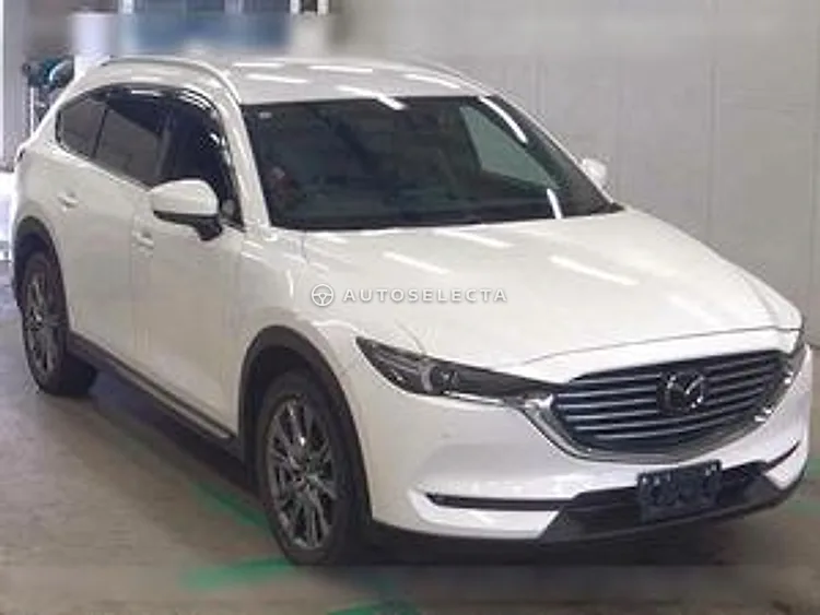 Mazda CX-8 2019, photo 1 of 1