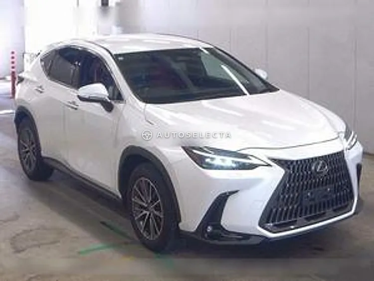 Lexus NX 2023, photo 1 of 1