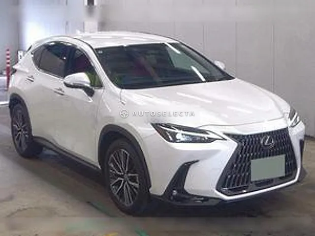 Lexus NX 2023, auction grade 5