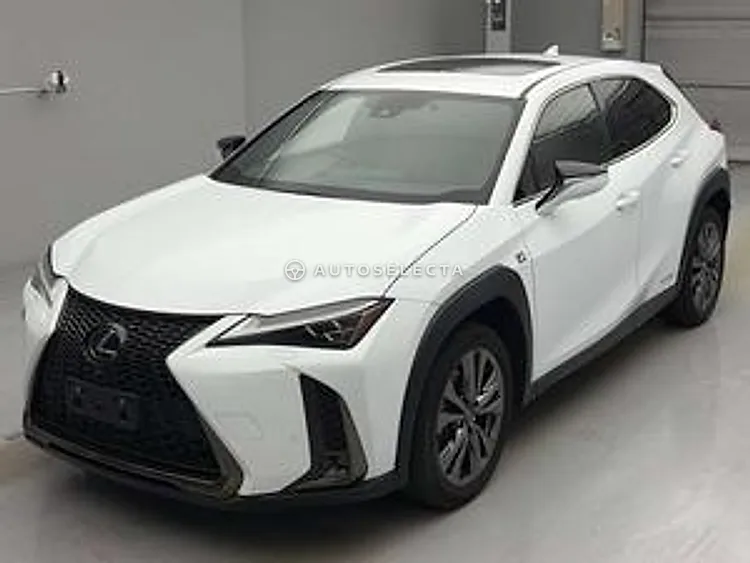 Lexus UX 2021, photo 1 of 2