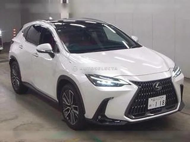 Lexus NX 2023, auction grade 4
