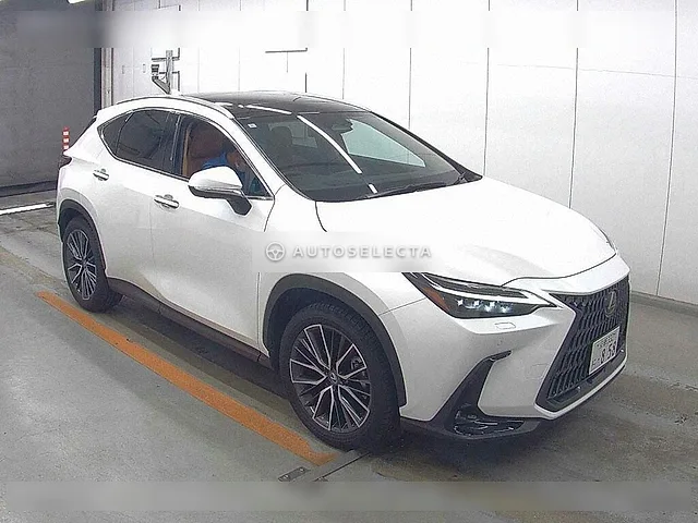 Lexus NX 2024, auction grade 4.5