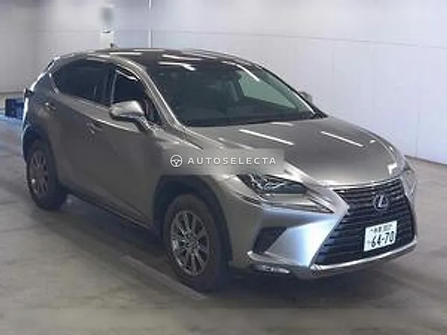 Lexus NX 2019, auction grade 4.5