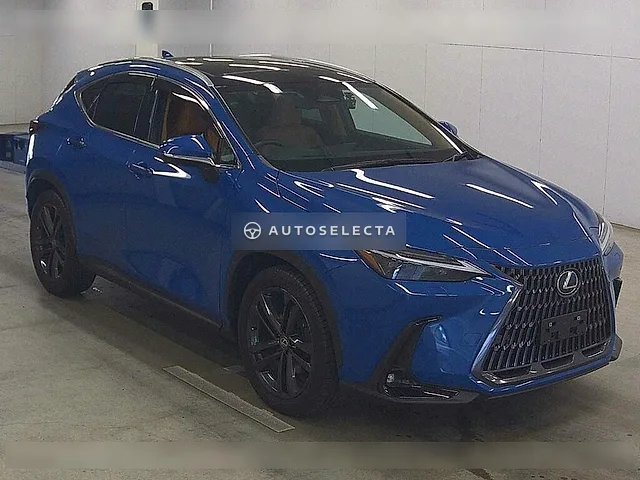 Lexus NX 2023, auction grade 4.5