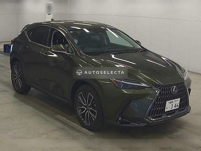 Lexus NX 2025, auction grade 4.5