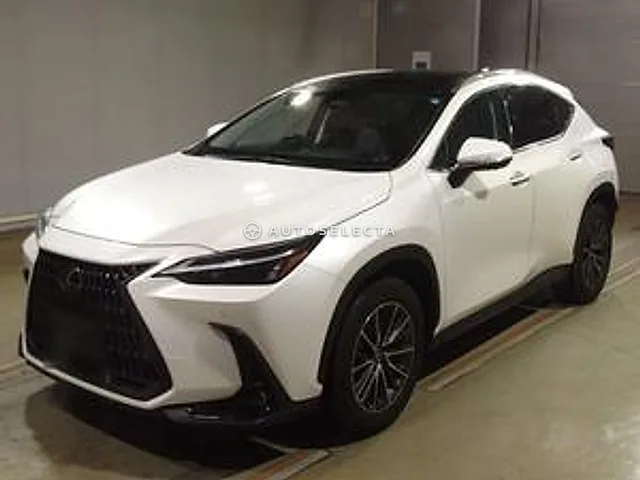 Lexus NX 2025, auction grade 3.5
