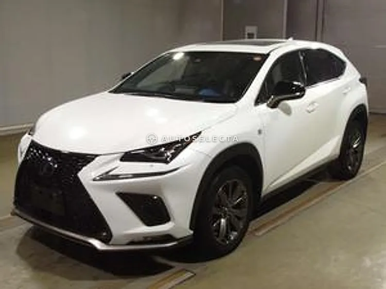 Lexus NX 2019, photo 1 of 1
