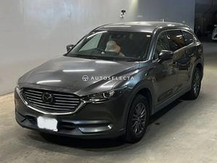 Mazda CX-8 2018, photo 1 of 1