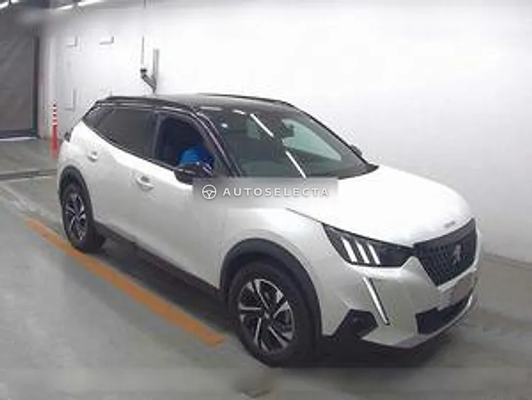Peugeot 2008 2021, photo 1 of 1