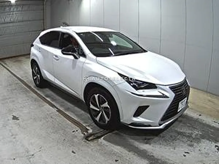 Lexus NX 2020, photo 1 of 1